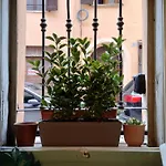 Apartment Carillon House *