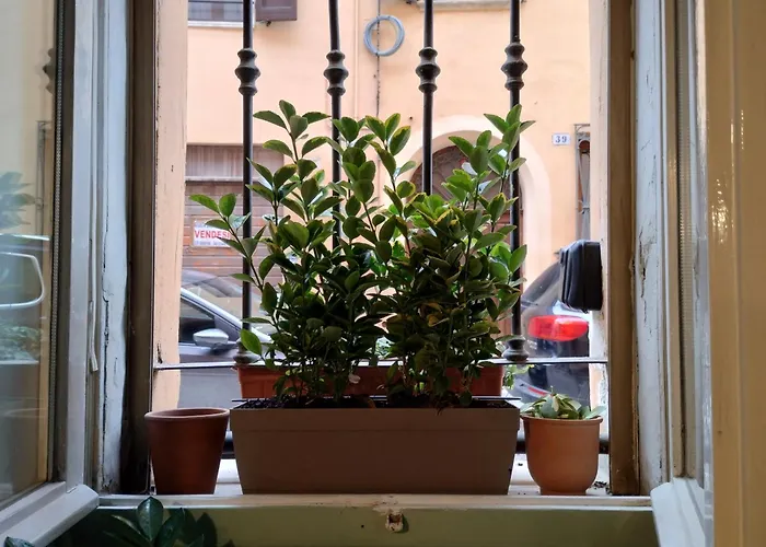 Apartament Carillon House *